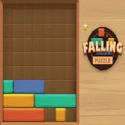 Falling Puzzle