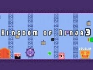 Kingdom Of Ninja 3