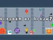 Kingdom Of Ninja 7