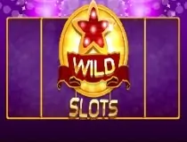 Wild Slot